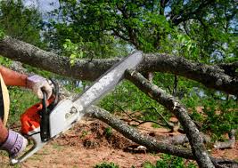 Best Utility Line Clearance  in Malvern, OH